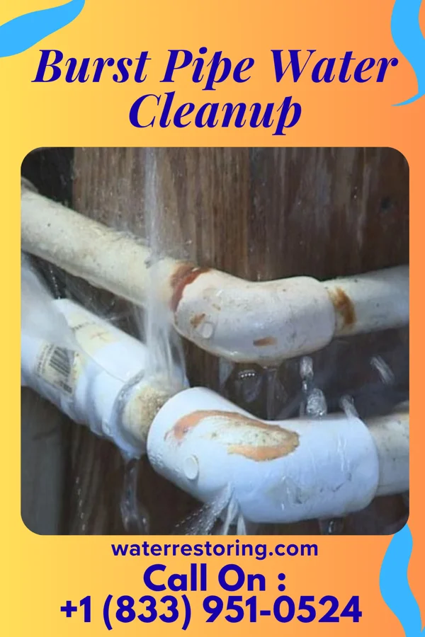 Burst Pipe Water Cleanup in Badger, MN