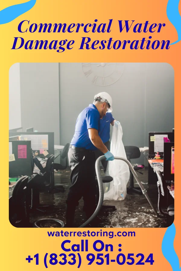 Commercial Water Damage Restoration in Badger, MN