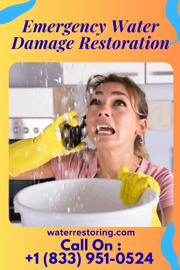 Emergency Water Damage Restoration in Badger, MN