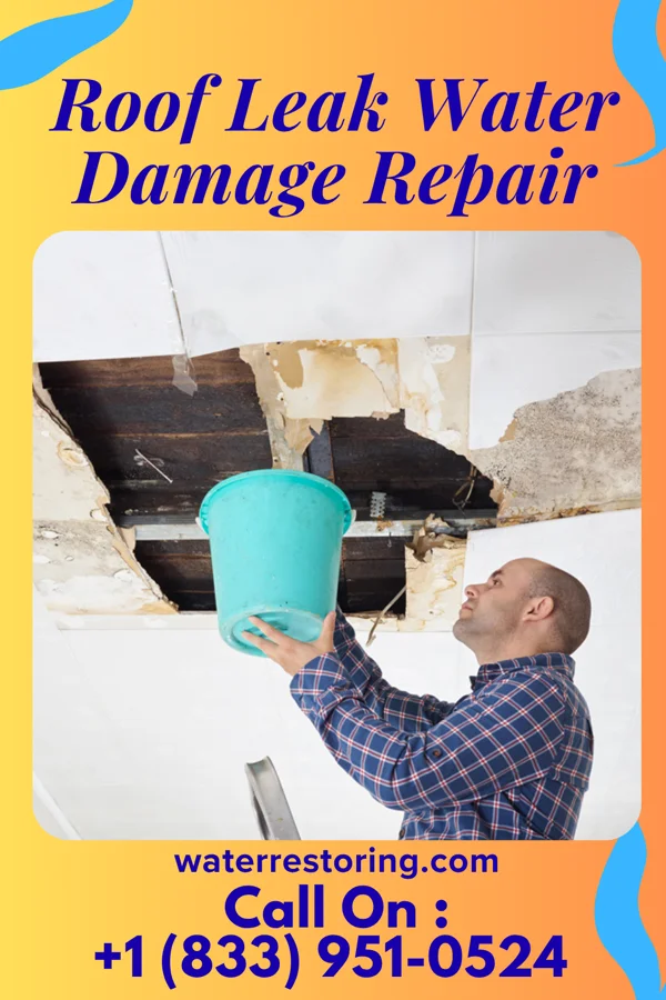 Roof Leak Water Damage Repair in Badger, MN