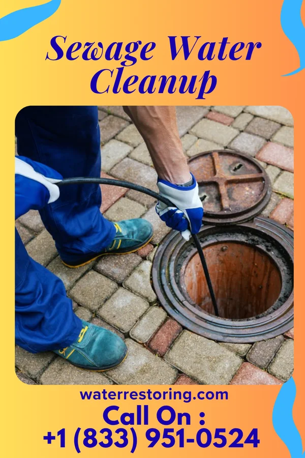 Sewage Water Cleanup in Badger, MN